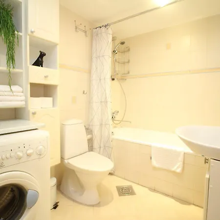 Roosikrantsi Apartment *