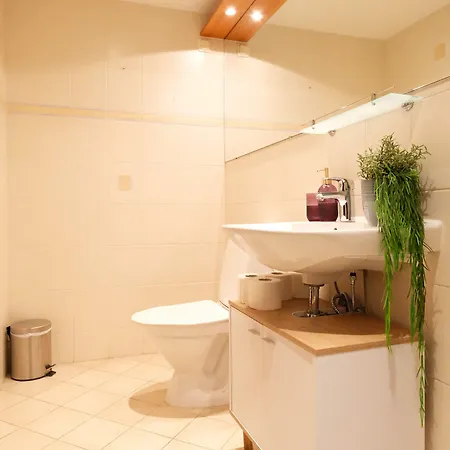 Roosikrantsi Apartment