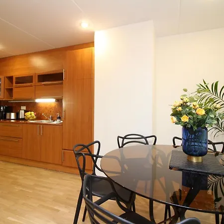 Roosikrantsi Apartamento *