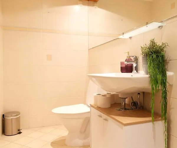 Roosikrantsi Apartment